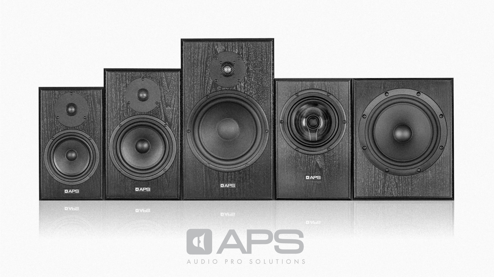 APS Audio 